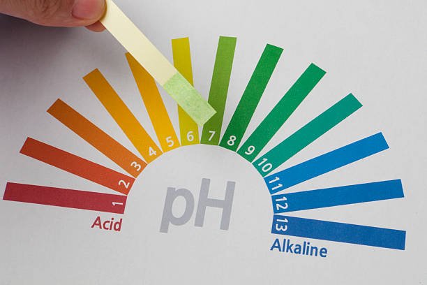 ph levels in the skin